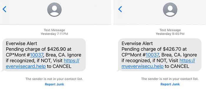 screen shot of scam text examples