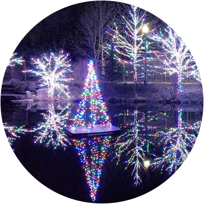 Wellfield Botanical gardens holiday lights